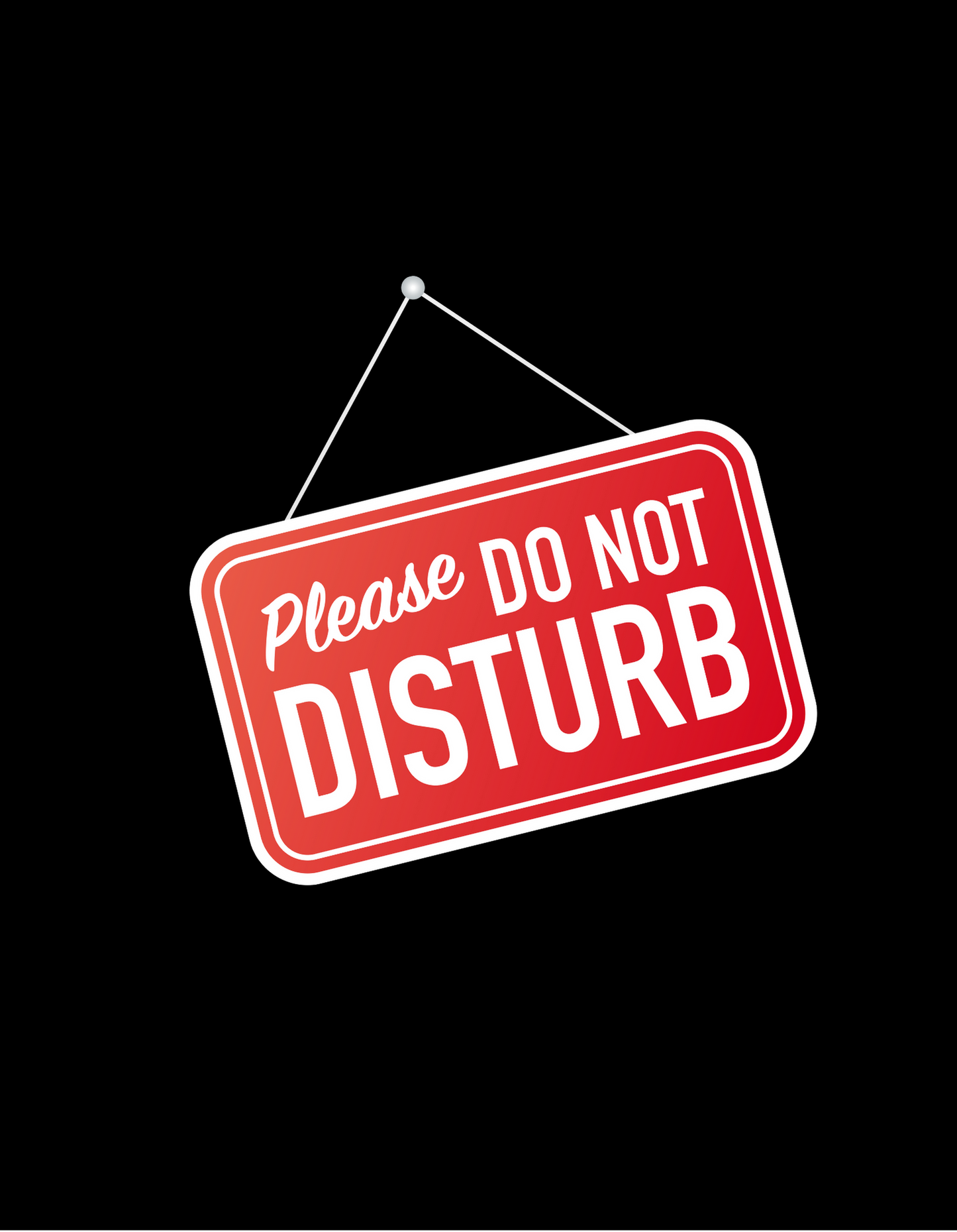 Please do not Disturb Ladies Classic Black T-Shirt