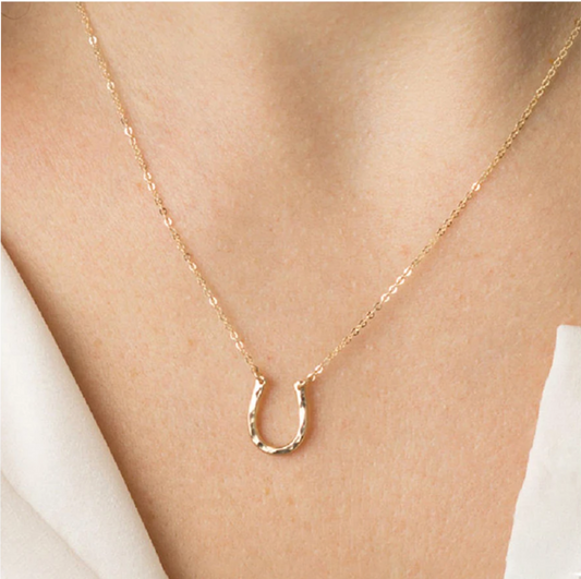 Surgical Steel Horseshoe Pendant Necklace