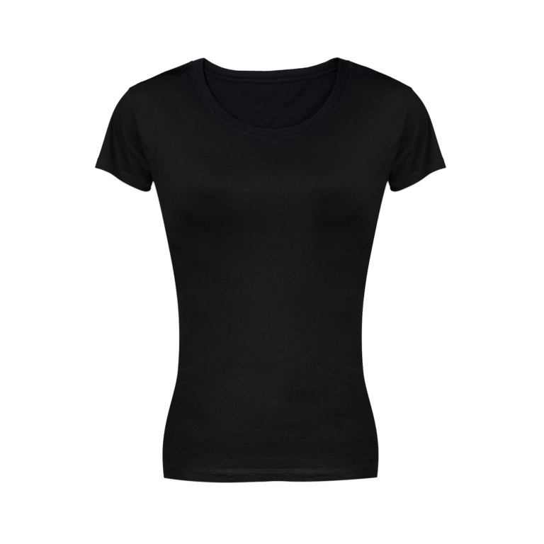 Please do not Disturb Ladies Classic Black T-Shirt