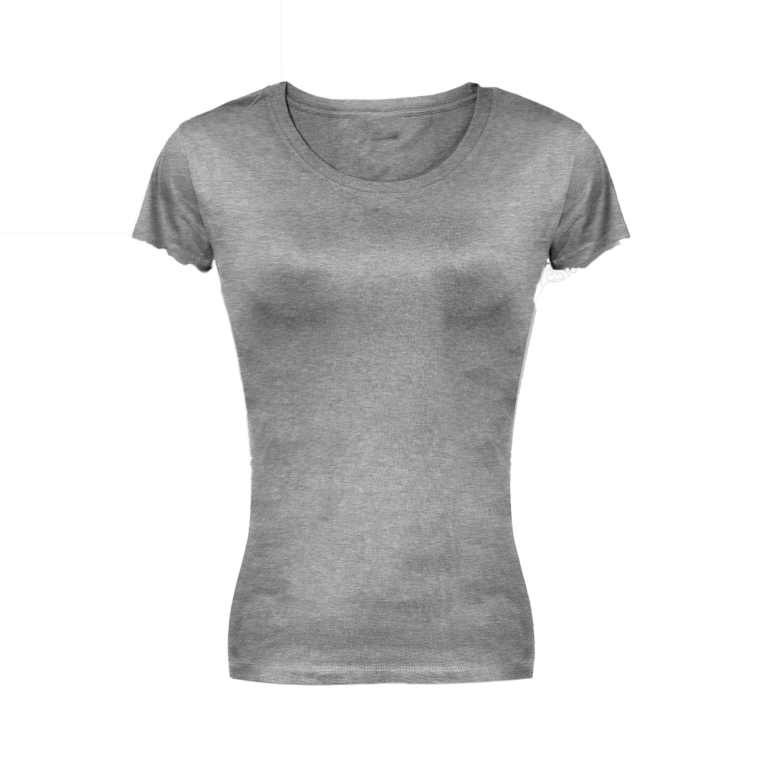 Tjommie Design Ladies Classic T-Shirt