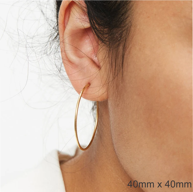 Surgical Steel Trendy Hoop Earrings