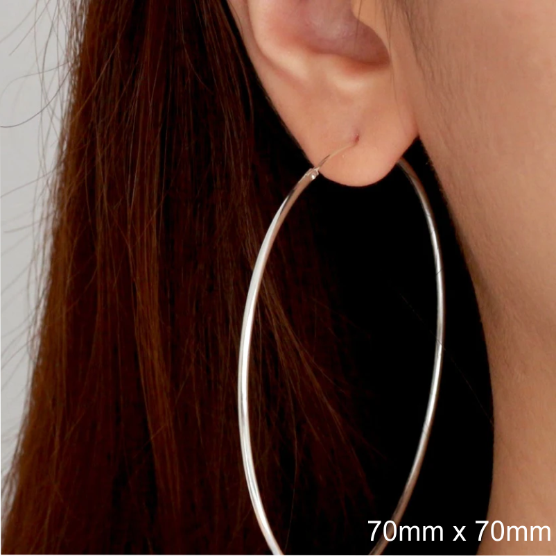 Surgical Steel Trendy Hoop Earrings